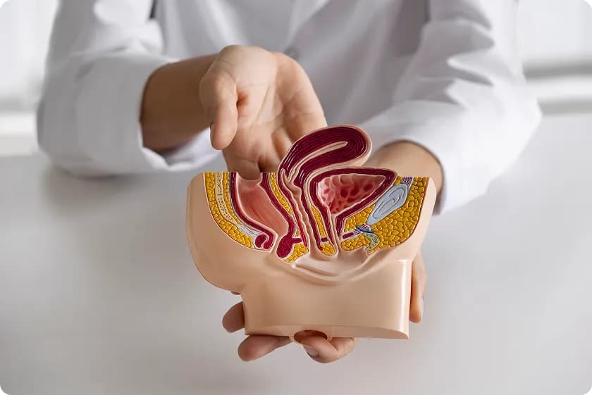 Colon cleanse diet: Safe herbal colon cleanse tips to restore gut health—learn evidence-based methods and start today.
