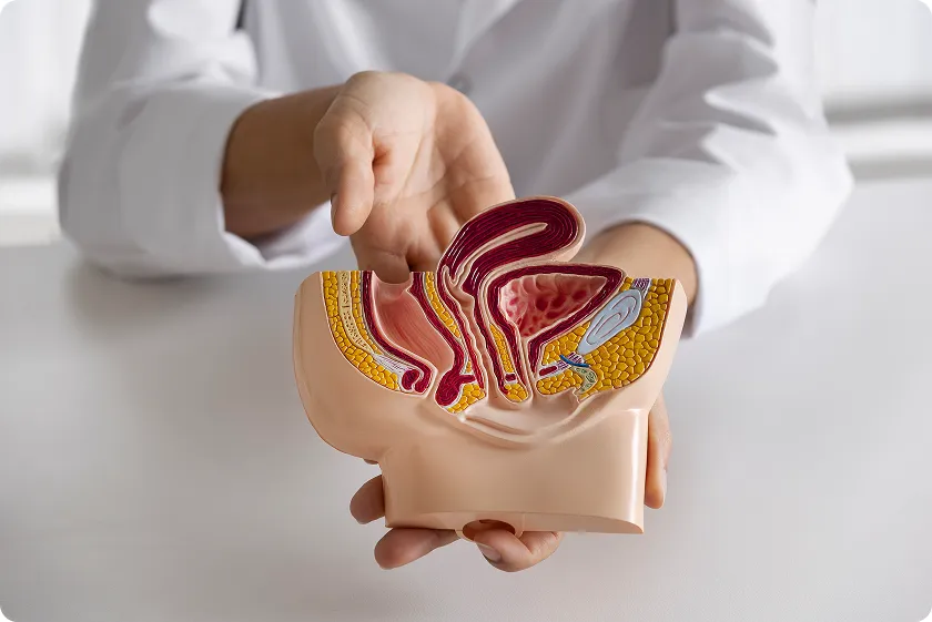 Colon cleanse diet: Safe herbal colon cleanse tips to restore gut health—learn evidence-based methods and start today.